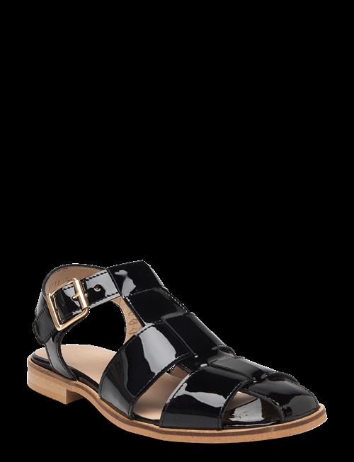 ANGULUS | Sandals - Flat | 35-23.1CM