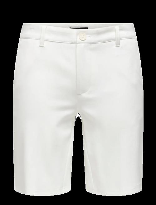ONLY & SONS | Onsmark Shorts Gw 8667 | S