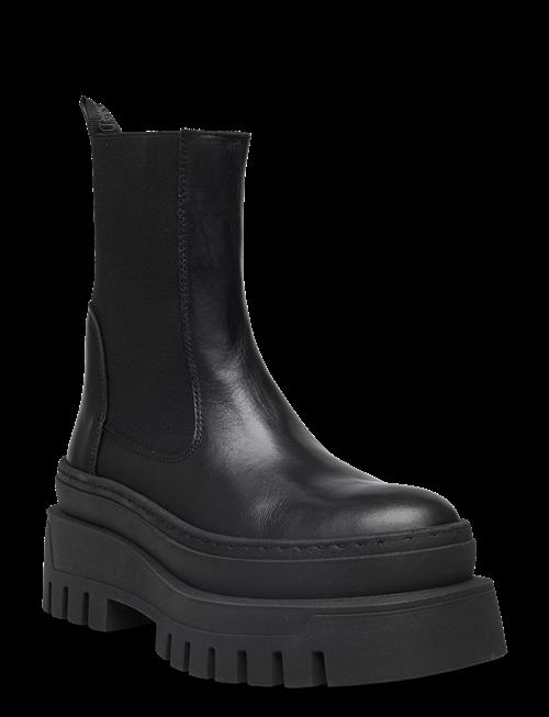 Se Steve Madden | Cassandra | 36 hos Booztlet
