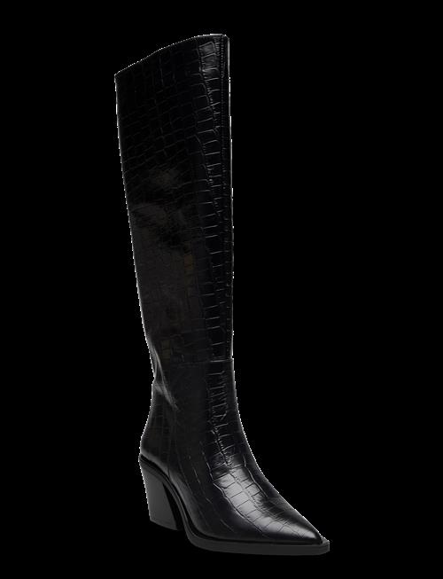 Pavement | Pamarthe Croco | 40