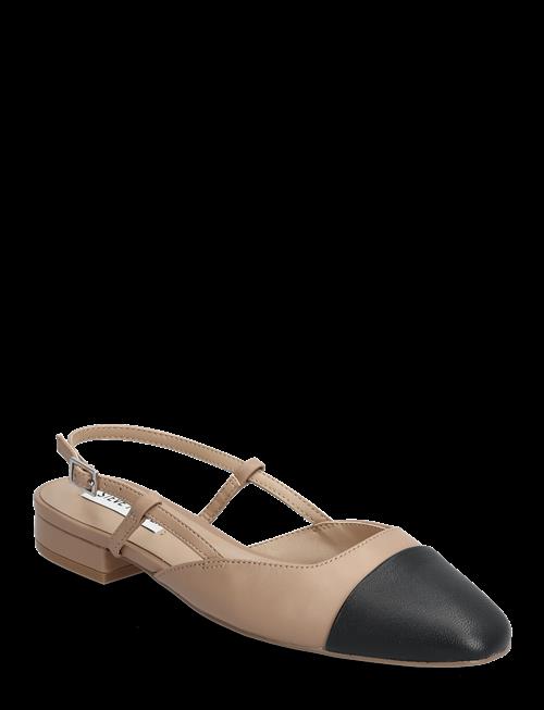 Steve Madden | Belinda | 39