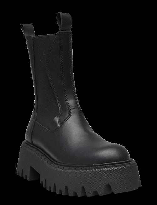 Steve Madden | Obtain | 41