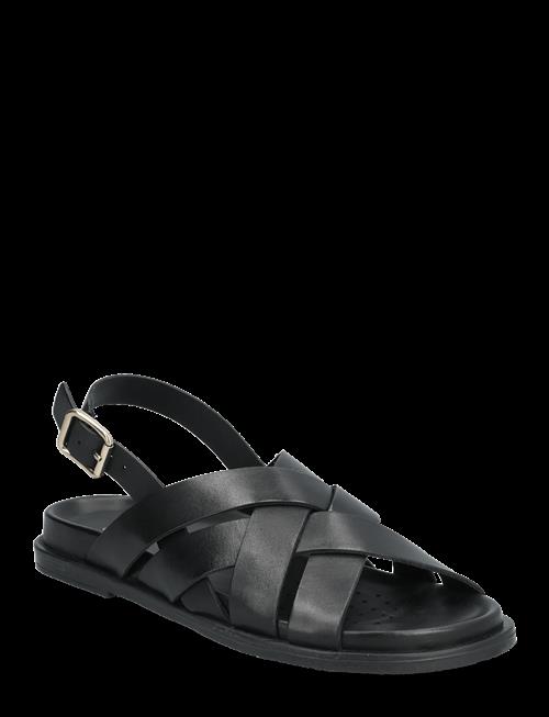 GEOX | D Adelash A | 40