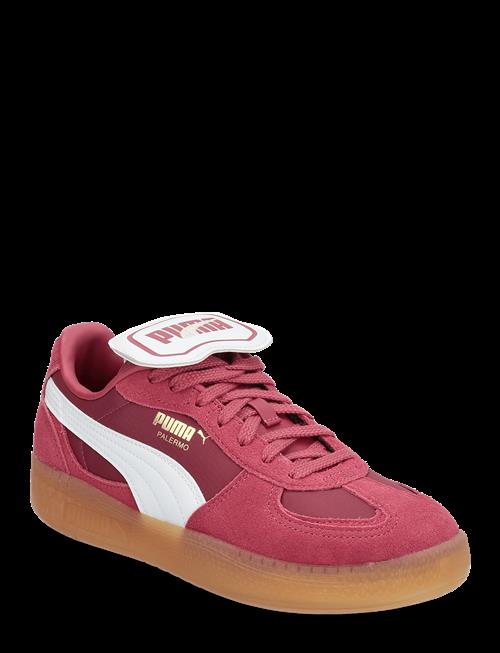 PUMA | Palermo Moda Tongue Wns | 36