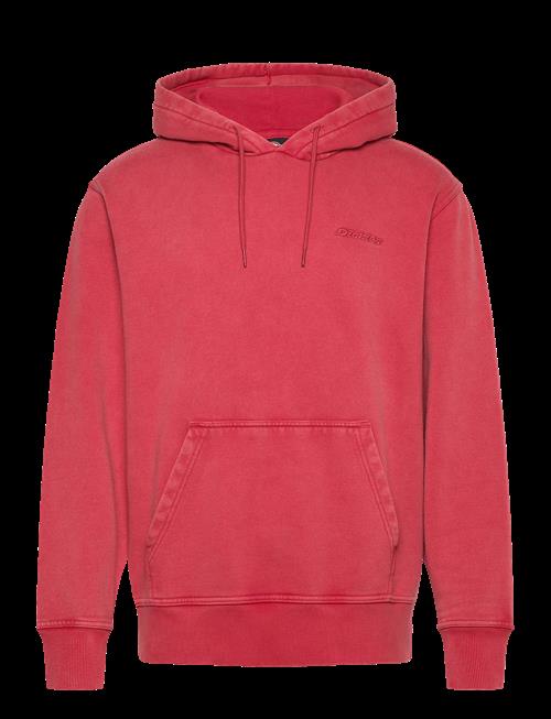 Dickies | Plentywood Hoodie | L