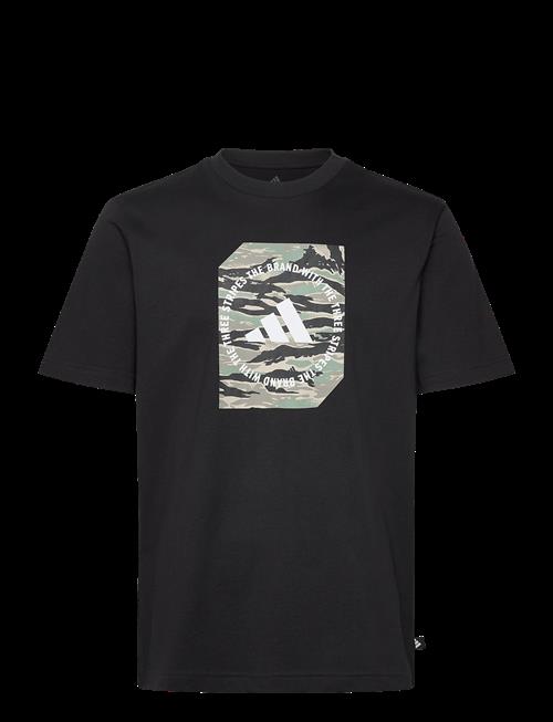 adidas Sportswear | M C Camo Box T | XL