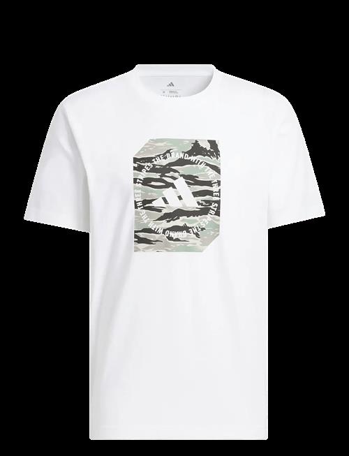 adidas Sportswear | M C Camo Box T | XL