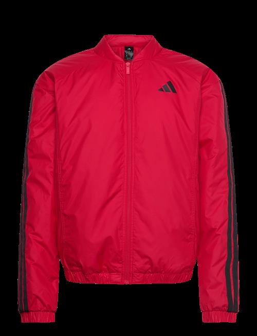 adidas Sportswear | Ess 3S Ins B J | XS