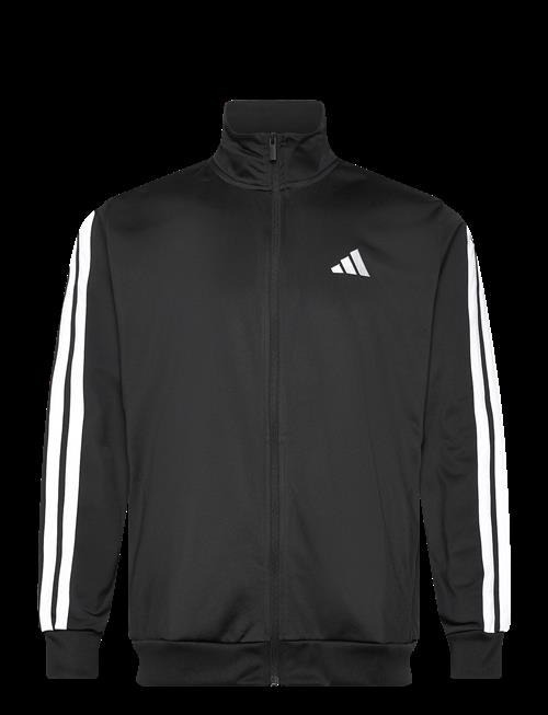 adidas Sportswear | M 3S Tr Tt | S