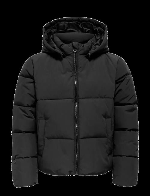 Kids Only | Kogdolly Life Sht Puffer Jacket Otw Noos | 134