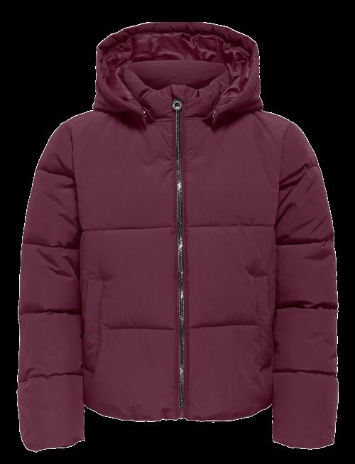 Kids Only | Kogdolly Life Sht Puffer Jacket Otw Noos | 146