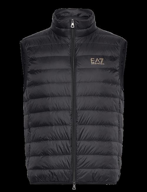 EA7 | Down Waistcoat | XL