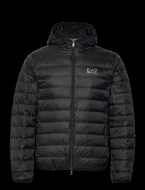 EA7 | Down Jacket | XXL