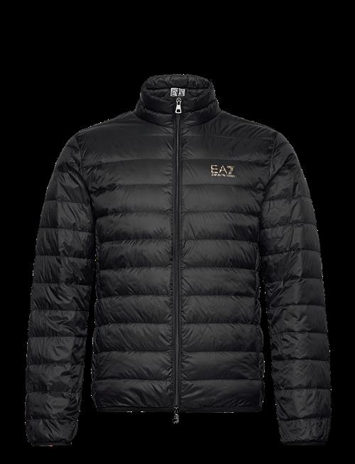 EA7 | Down Jacket | M