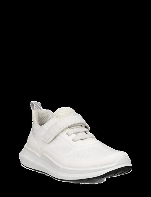 ECCO | Biom 2.2 K | 30
