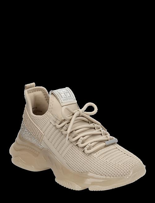 Steve Madden | Maxilla-R-E | 41