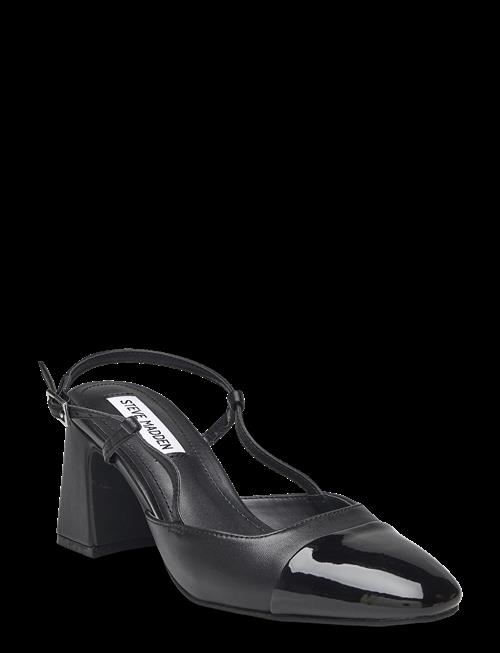 Steve Madden | Zeina | 38