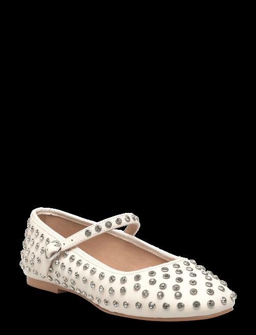 Steve Madden | Vinetta-R | 40
