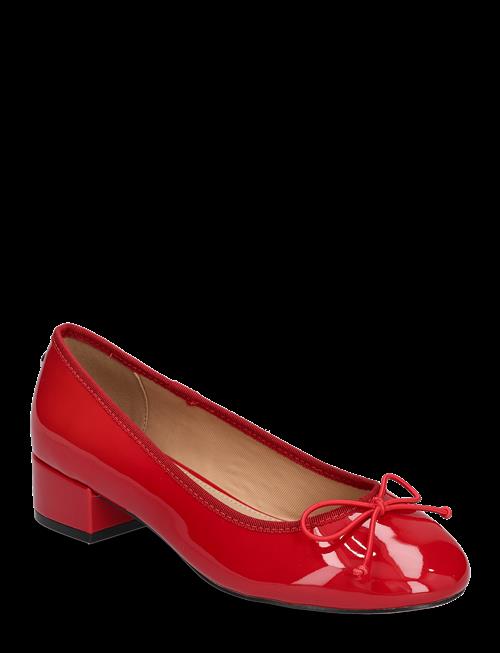 Steve Madden | Cherish | 42