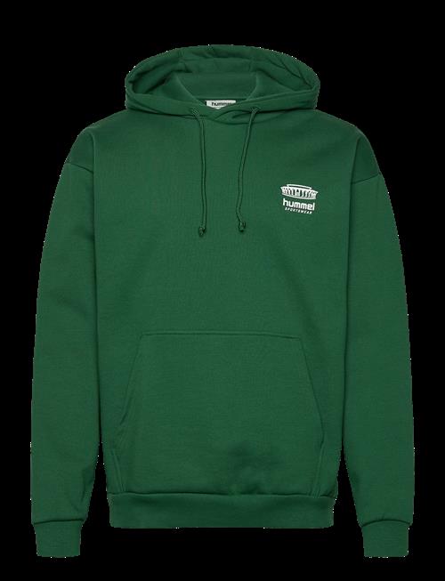 Hummel | Hmlloose Hoodie Bees Stadium | XS