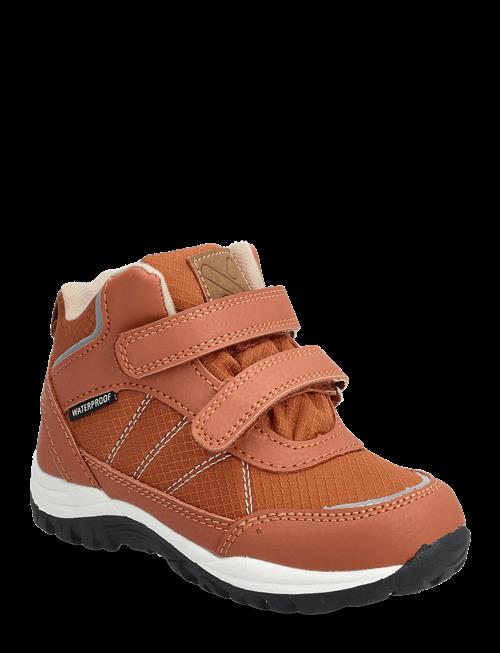 Exani | Harper K | 27