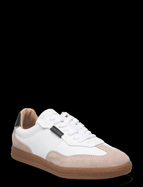 Steve Madden | Emporia Sneaker | 41