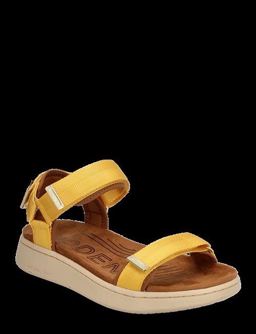 WODEN | Line | 38