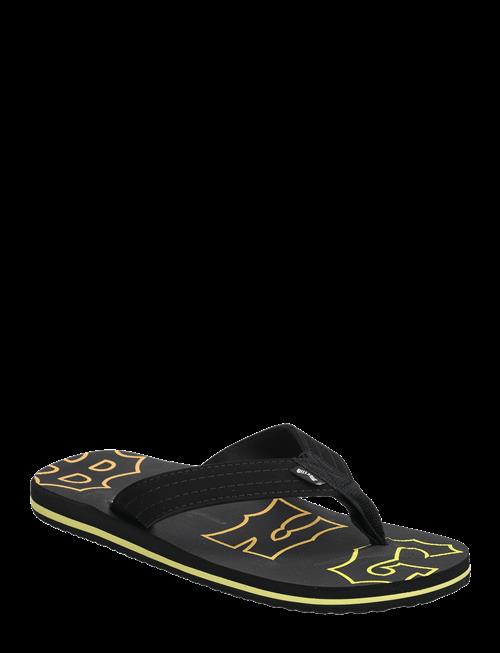 Billabong | All Day Theme | 42