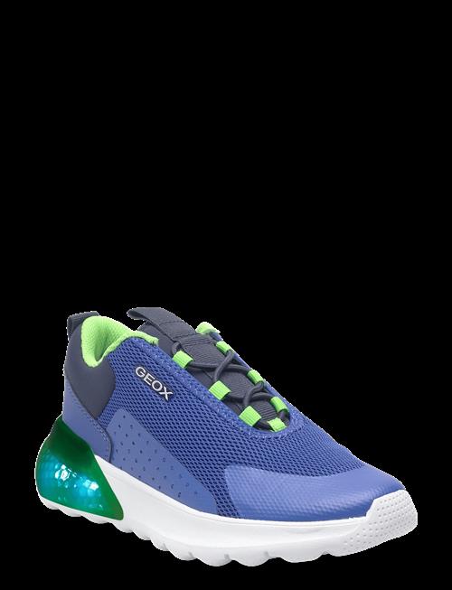 GEOX | J Activart Illuminus | 36