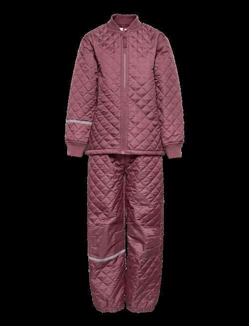 CeLaVi | Basic Thermal Set -Solid | 80