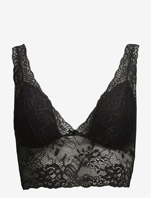 Missya | Nicole Bra Top | 36