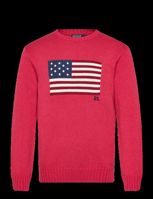 Polo Ralph Lauren | 10/1 Roving Cotton-Lsl-Plo | L