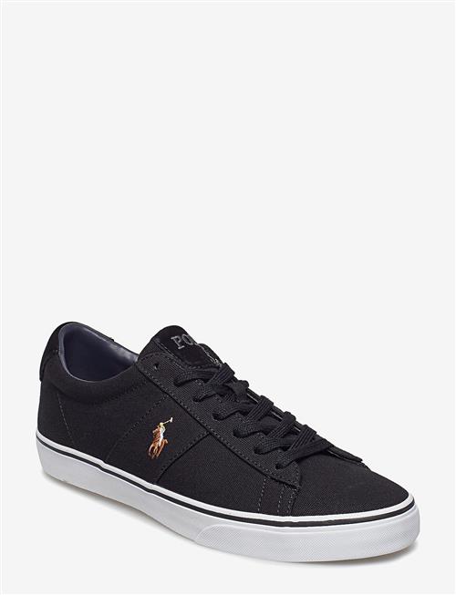 Polo Ralph Lauren | Sayer Canvas Sneaker | 45