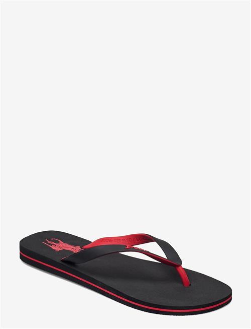 Polo Ralph Lauren | Bolt Pony Flip-Flop | 46