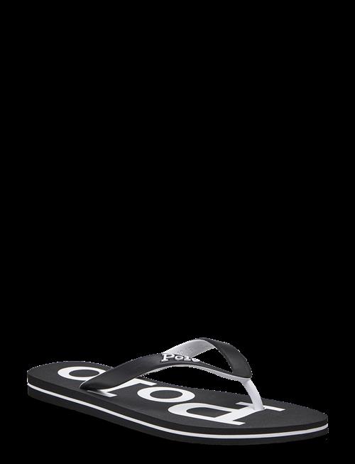 Polo Ralph Lauren | Bolt Logo Flip-Flop | 43