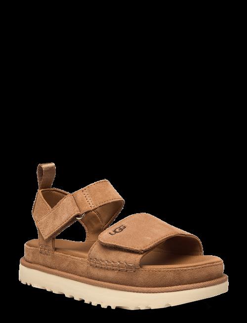 UGG | W Goldenstar | 36