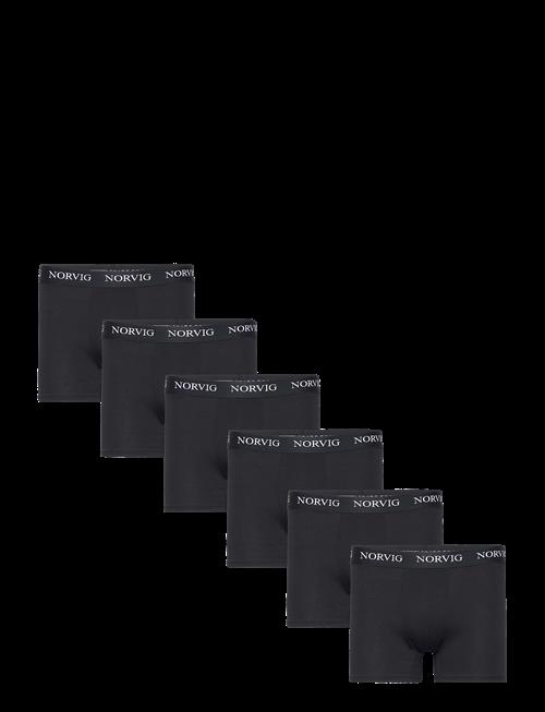 NORVIG | 6-Pack Mens Tights | M