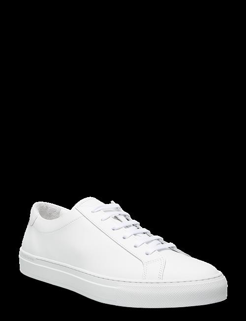 Polo Ralph Lauren | Jermain Leather Sneaker | 44