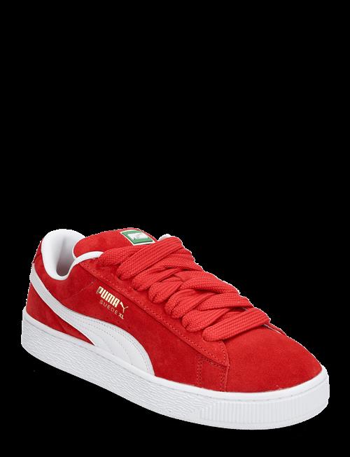 PUMA | Suede Xl | 36