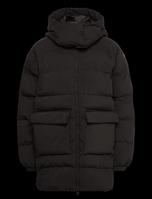 Helly Hansen | W Ellie Puffy Parka | L