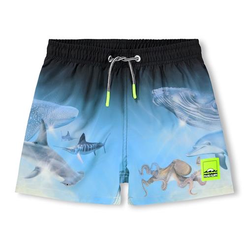 Molo Niko Board Shorts Air Brush Deep  Air Brush Deep 146/152 cm  Blå  146/152 cm  Drenge