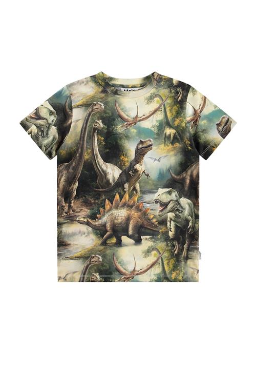 Molo Ralphie T-Shirts Short Sleeves Dino Harmony Dino Harmony 116 cm  Brun  116 cm  Drenge