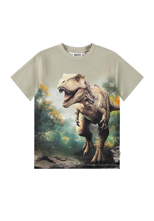 Molo Riley T-Shirts Short Sleeves Leafy Rex Leafy Rex 116 cm  Grøn  116 cm  Drenge
