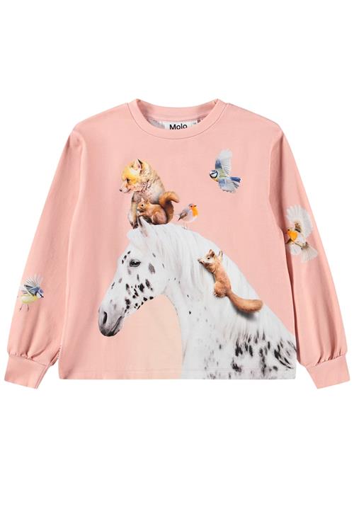 Molo Raffy T-Shirts Long Sleeves Entourage Entourage 110 cm  Lyserød  110 cm  Piger