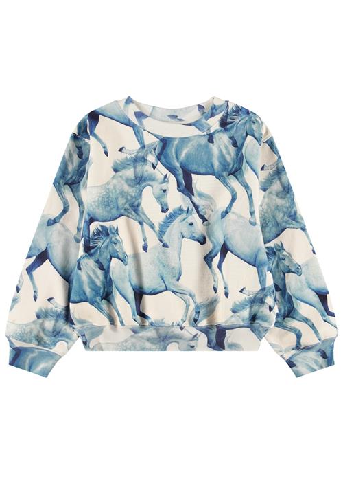 Molo Marge Sweat Shirt Blau Ponies Blau Ponies 164 cm  Blå  164 cm  Piger