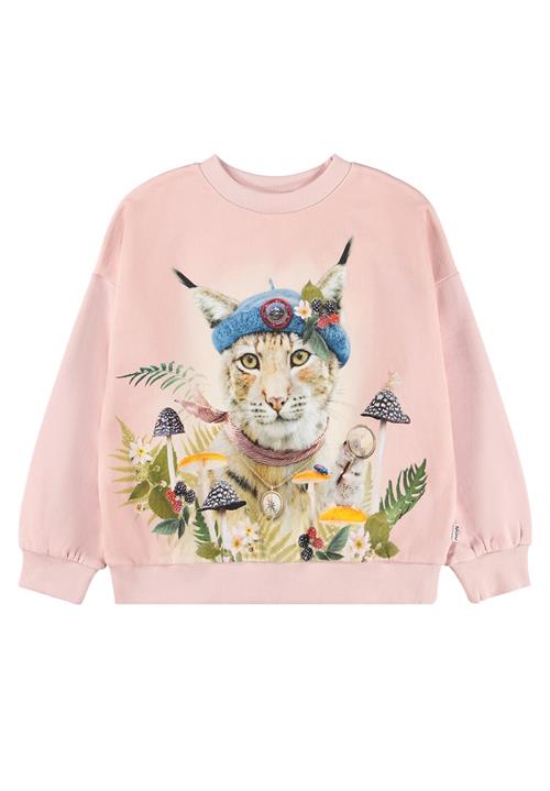 Molo Maxi Sweatshirt Nature Explorer  Nature Explorer 152 cm  Lyserød  152 cm  Piger