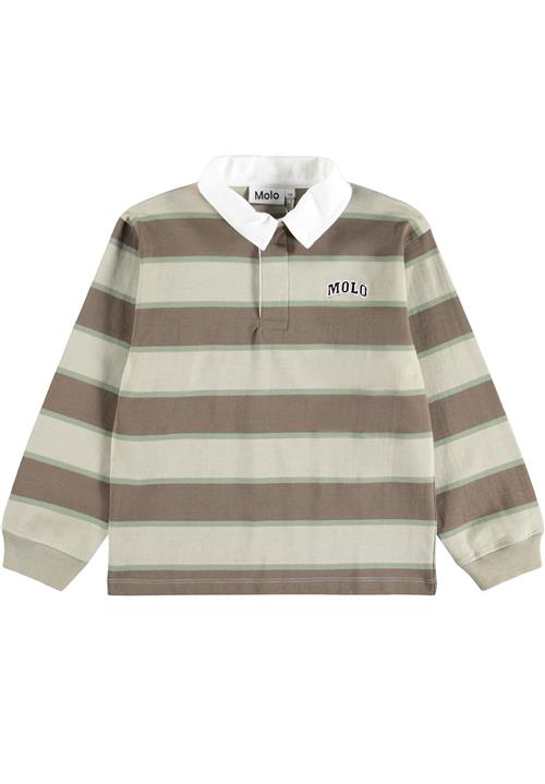 Molo GOTS Relz Poloshirt Ground Stripe  Ground Stripe 110 cm  Brun  110 cm  Drenge