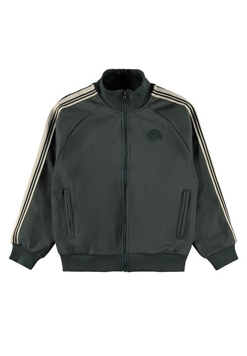 Molo Meracer Sweat Shirt Taxus Taxus 116 cm  Grøn  116 cm  Drenge