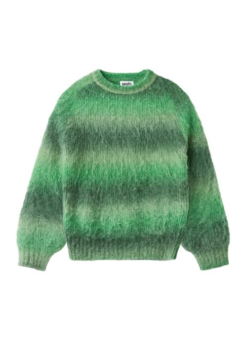 Molo Bosse Jumper Space Dye Green Space Dye Green 98/104 cm  Grøn  98/104 cm  Drenge