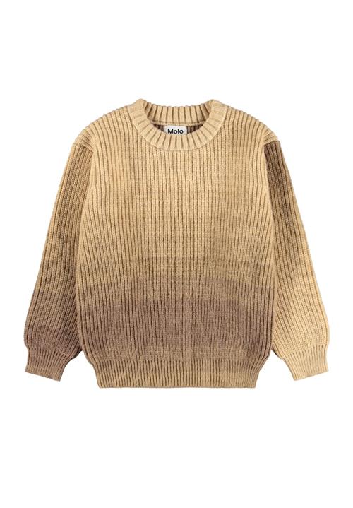 Molo Bello Jumper Elmwood Space Elmwood Space 98/104 cm  Brun  98/104 cm  Drenge